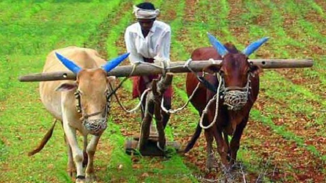 Modi-GOVT-declared-Farmers-will-get-4000-Rupees-Aajira-Odisha